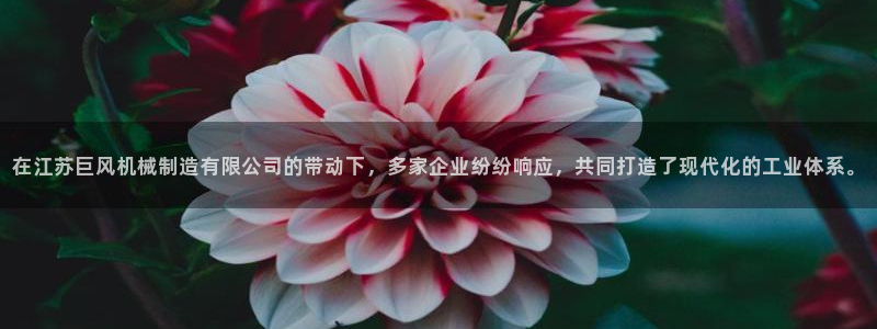 云顶国际会议中心地址