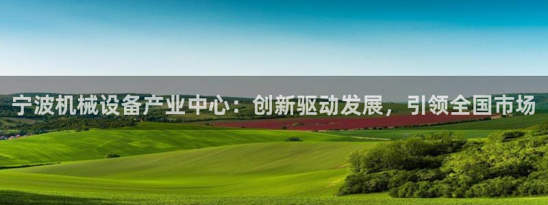 云顶国际酒店老板