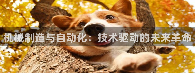 云顶国际宴会中心坐几路公交车