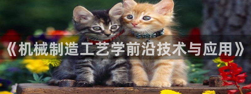 云顶小学国际班学费