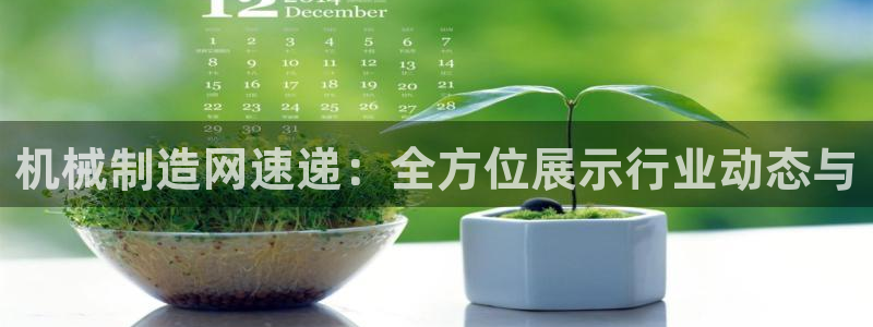 云顶国际高中d s e班学费多少