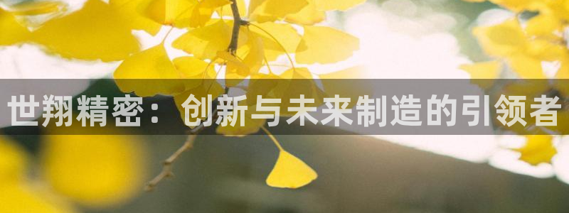 云顶集团有限公司简介