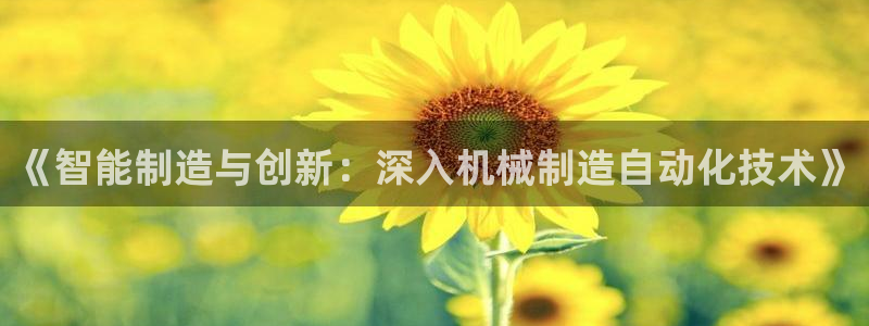 云顶集团网站多少