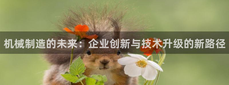 云顶集团官网电话客服