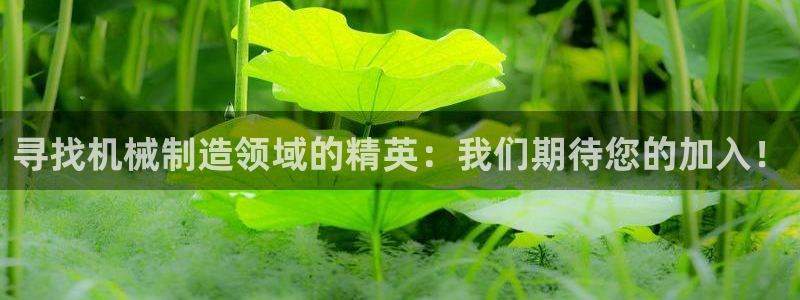 云顶手游国际服什么时候更新