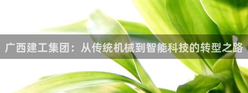 云顶国际游戏网址