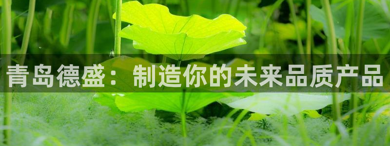 云顶国际会议中心地址