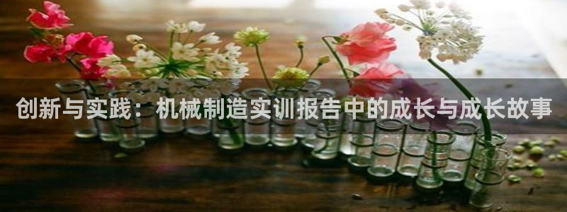 云顶集团董事长林东简历照片