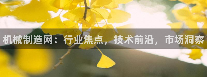 云顶国际集团游戏app