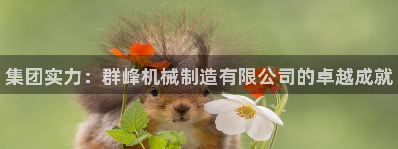 云顶国际服阵容