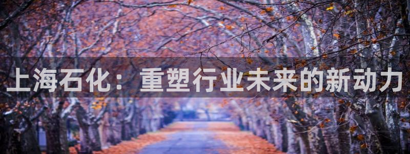 淮北云顶国际一次多少钱