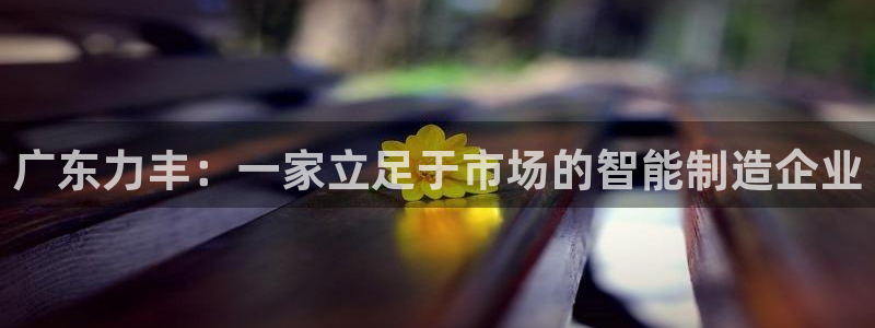 云顶国际赌彩公司下载