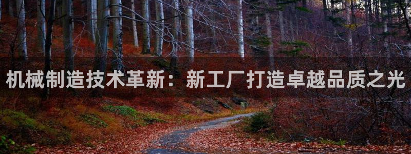 云顶国际服怎么玩