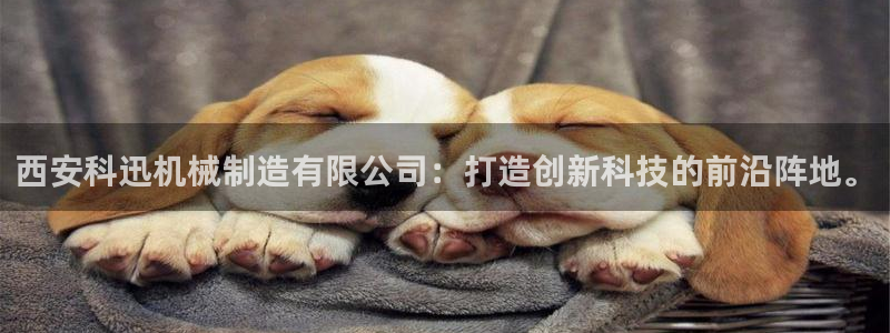 云顶国际服更新s9