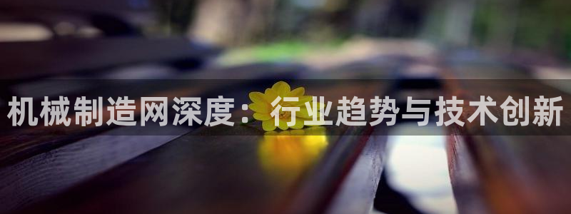 yd云顶集团app下载