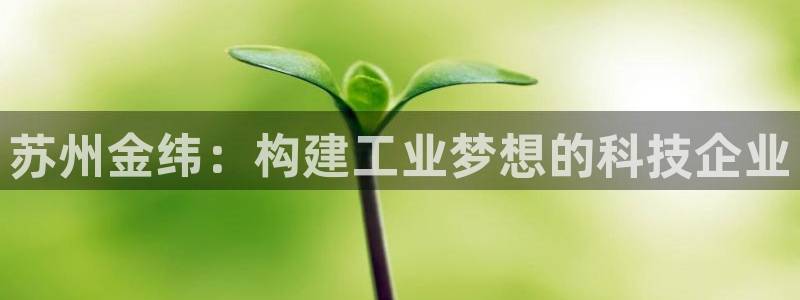 云顶国际投资有限公司