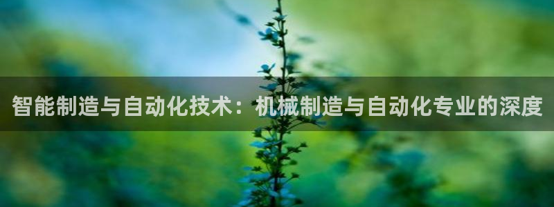 云顶国际服什么时候更新s9.5