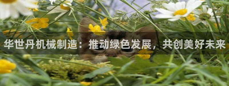 云顶集团专属app